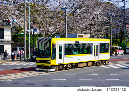 東京櫻花電車:電車與飛鳥山公園盛開的櫻花交相輝映。 東京櫻花電車:電車與飛鳥山公園盛開的櫻花交相輝映。 138583488