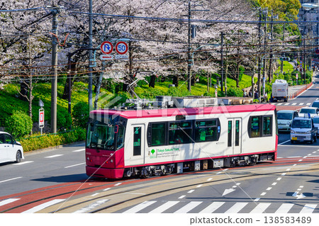 東京櫻花電車：電車與飛鳥山公園盛開的櫻花交相輝映。 138583489