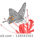 Illustration of a swallowtail butterfly 138583563