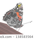 Illustration of a Red Admiral butterfly 138583564