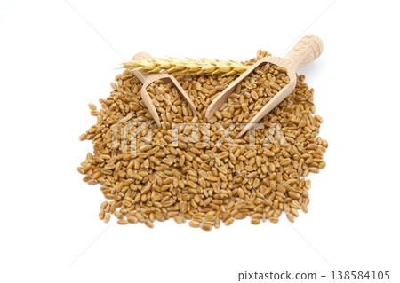 Wheat grain seeds spilling from two wooden scoops Wheat grain seeds spilling from two wooden scoops 138584105