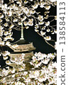 Toji Light Up 138584113