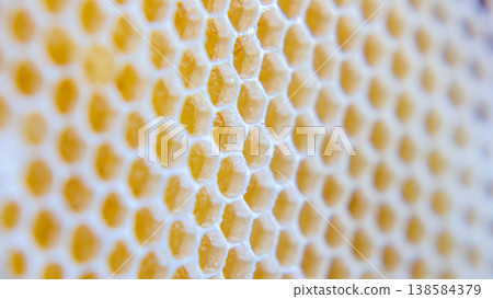 Honeycomb structure shows hexagonal cells filled with honey and beeswax from a beehive in summer 138584379