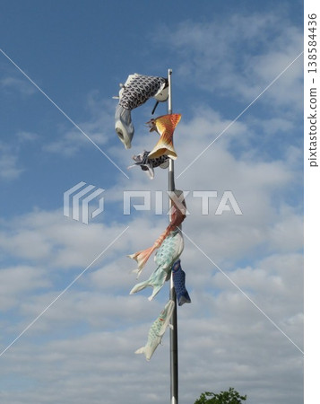 Carp streamer Carp streamer 138584436
