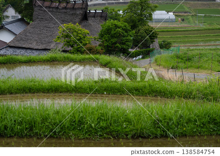 The finished terraced rice field photographed in Hase, Nose Town, Osaka Prefecture The finished terraced rice field photographed in Hase, Nose Town, Osaka Prefecture 138584754