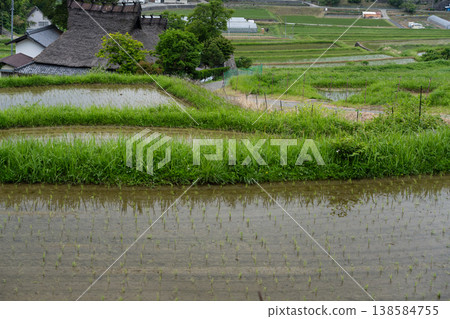 The finished terraced rice field photographed in Hase, Nose Town, Osaka Prefecture The finished terraced rice field photographed in Hase, Nose Town, Osaka Prefecture 138584755