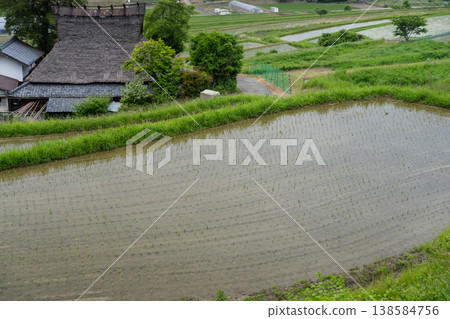 The finished terraced rice field photographed in Hase, Nose Town, Osaka Prefecture 138584756