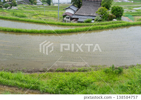 拍攝於大阪府鼻子町長谷的完工梯田 拍攝於大阪府鼻子町長谷的完工梯田 138584757