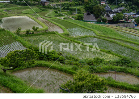 The finished terraced rice field photographed in Hase, Nose Town, Osaka Prefecture The finished terraced rice field photographed in Hase, Nose Town, Osaka Prefecture 138584766