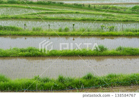 The finished terraced rice field photographed in Hase, Nose Town, Osaka Prefecture The finished terraced rice field photographed in Hase, Nose Town, Osaka Prefecture 138584767