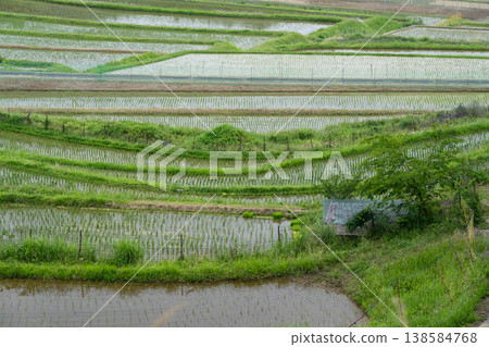 拍攝於大阪府鼻子町長谷的完工梯田 138584768