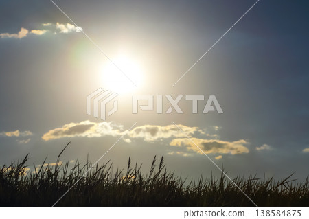 Bright sun shines over grass fields under a clear sky with clouds during afternoon in a rural area Bright sun shines over grass fields under a clear sky with clouds during afternoon in a rural area 138584875