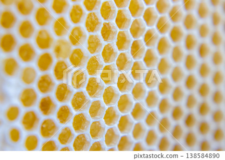 Close up view of honeycomb showing hexagonal shapes filled with honey during daylight Close up view of honeycomb showing hexagonal shapes filled with honey during daylight 138584890