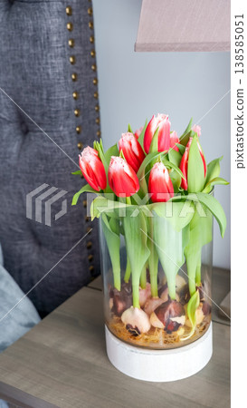 Fresh red tulips in a clear glass vase on a wooden bedside table next to a stylish gray upholstered headboard 138585051