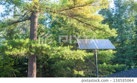 Solar panel installation beside tall pine trees in a forested area, showcasing renewable energy solutions in a natural environment 138585064