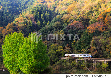 在山陰線關閉之前,一列柴油動車組列車在清晨季節交替之際,飛馳穿過兩棵銀杏樹。 在山陰線關閉之前,一列柴油動車組列車在清晨季節交替之際,飛馳穿過兩棵銀杏樹。 138585343