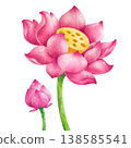 hand-painted watercolor lotus flowers, buds, and leaves in pink. 138585541
