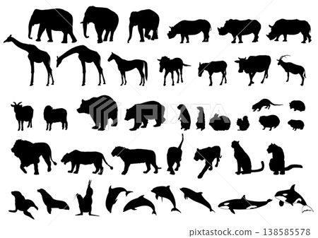動物剪影素材集[哺乳類、海洋生物、野生動物] 138585578