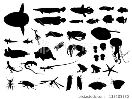 Animal silhouette material set [Fish, reptiles, insects] 138585580