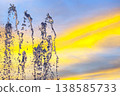 Water fountains splash against a colorful sky during sunset, creating a lively display over  138585733
