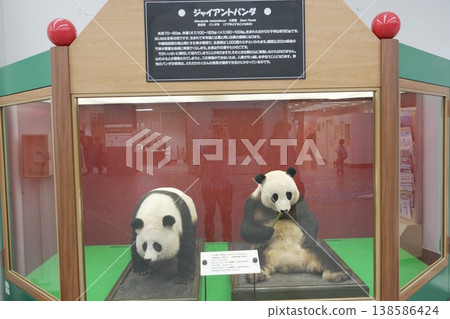 大熊貓冉冉和坎坎(毛絨玩具) 大熊貓冉冉和坎坎(毛絨玩具) 138586424