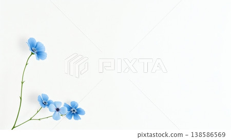 白色背景上的藍色小花，位於左上角；極簡主義背景，留有充足的文字空間。 138586569
