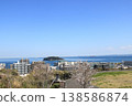 從平和中央公園眺望：櫻花盛開 138586874