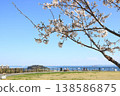 從平和中央公園眺望：櫻花盛開 138586875