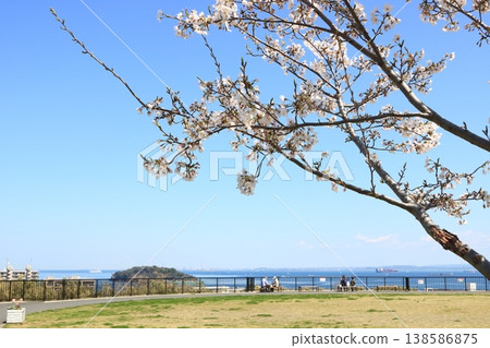 從平和中央公園眺望:櫻花盛開 從平和中央公園眺望:櫻花盛開 138586875