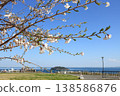 從平和中央公園眺望：櫻花盛開 138586876