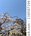 Sakura in full bloom that shines in the blue sky of spring 138587194