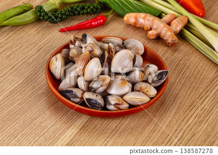 Raw fresh wild clams mollusc Raw fresh wild clams mollusc 138587278