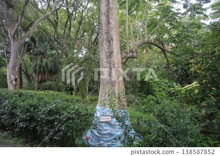 Pest control Pest control 138587852