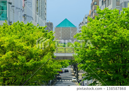 港北新城、橫濱歷史博物館和新鮮的綠植 港北新城、橫濱歷史博物館和新鮮的綠植 138587868