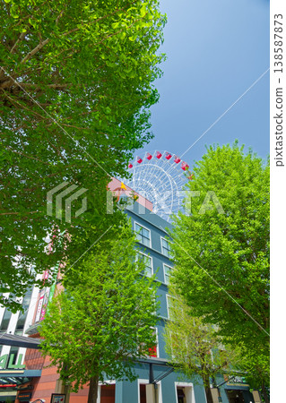 The fresh green leaves of the ginkgo trees and the Ferris wheel in front of Center Kita Station in Kohoku New Town The fresh green leaves of the ginkgo trees and the Ferris wheel in front of Center Kita Station in Kohoku New Town 138587873