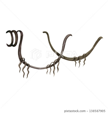 Hand drawn watercolor illustration of curved wooden vines and dry forest branches. Realistic brown botanical elements with twisted textures, perfect for rustic decor, jungle themes, and nature art. Hand drawn watercolor illustration of curved wooden vines and dry forest branches. Realistic brown botanical elements with twisted textures, perfect for rustic decor, jungle themes, and nature art. 138587905