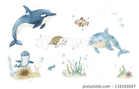 Sea creature set illustration 138588087