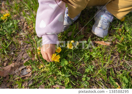 Girl picking dandelion flowers 138588295