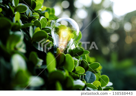 Renewable energy concept Earth Day or environment protection Hands protect forests that grow on the ground and help save the world. 138588443