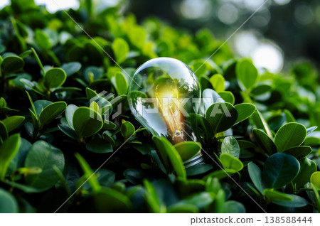 Renewable energy concept Earth Day or environment protection Hands protect forests that grow on the ground and help save the world. Renewable energy concept Earth Day or environment protection Hands protect forests that grow on the ground and help save the world. 138588444