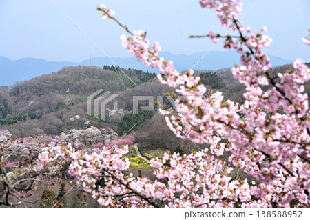 A panoramic view of Fukushima city from Hanamiyama Park. A panoramic view of Fukushima city from Hanamiyama Park. 138588952