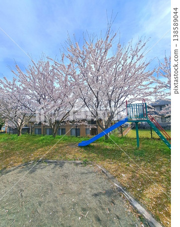 公園裡有滑梯和沙坑,櫻花正盛開。 公園裡有滑梯和沙坑,櫻花正盛開。 138589044