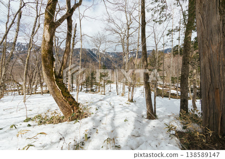 Trail pathway in Kamikochi national park Trail pathway in Kamikochi national park 138589147