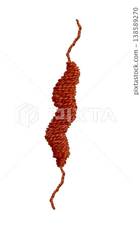 [Campylobacter bacteria] Hand embroidery illustration material 138589270