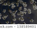 日本夜晚的櫻花 138589401