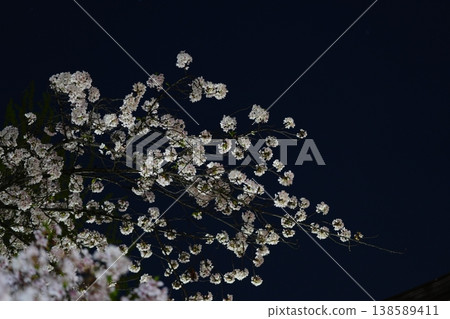 Cherry blossoms at night, Japan Cherry blossoms at night, Japan 138589411