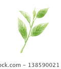 茶葉、抹茶、手繪、水彩風格 138590021