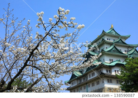 名古屋城,特別歷史遺跡,櫻花盛開。 名古屋城,特別歷史遺跡,櫻花盛開。 138590087