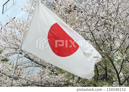 Cherry blossoms and the Japanese flag 138590152