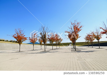 高田松原海嘯重建紀念公園及路邊站 高田松原 高田松原海嘯重建紀念公園及路邊站 高田松原 138590250